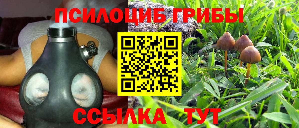 Галлюциногенные грибы прущие грибы Борзя